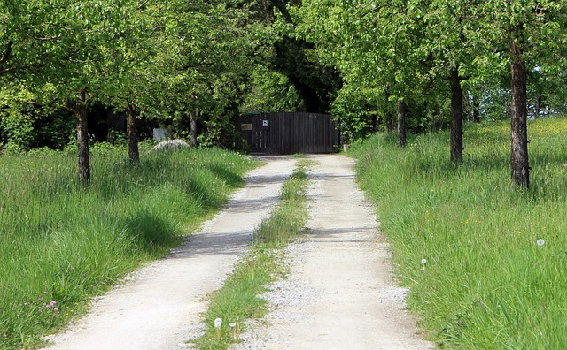 driveway replacement contractors