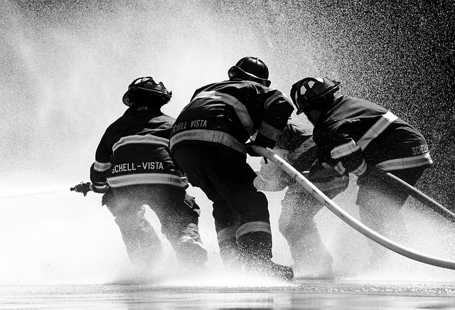 emergency water shutoff