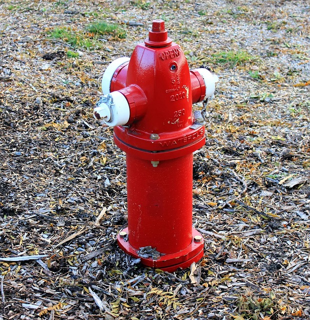 emergency water shutoff