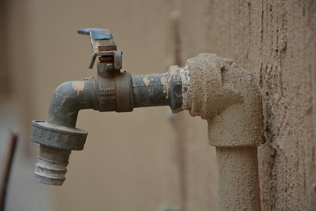 expert plumbers
