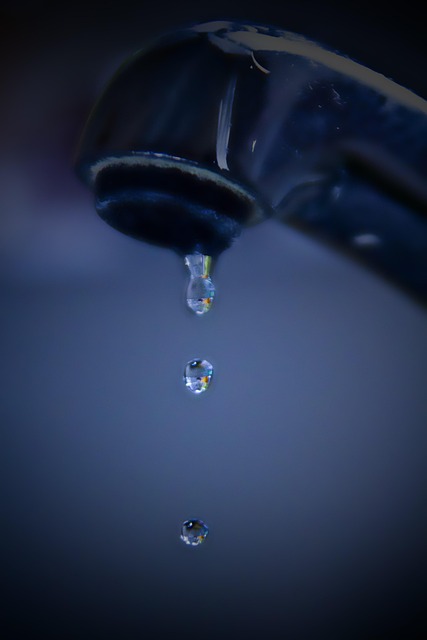 franchise plumbing