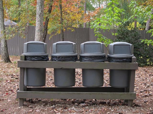 garbage disposal removal