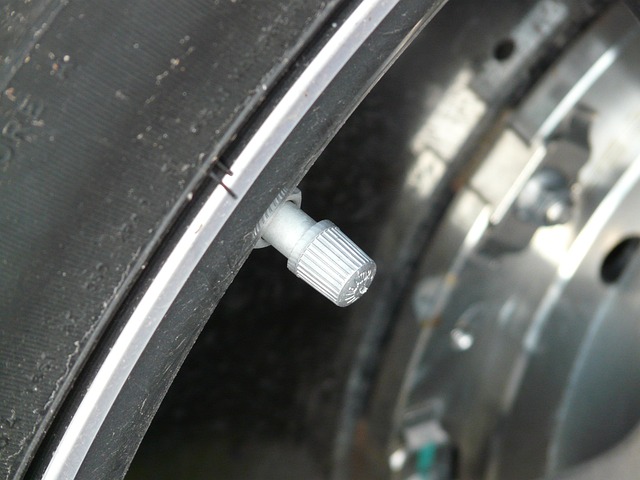 gas shut off valve