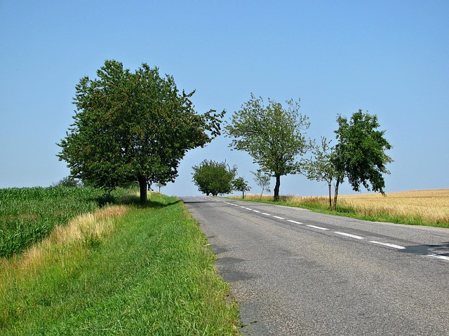 landscape paving