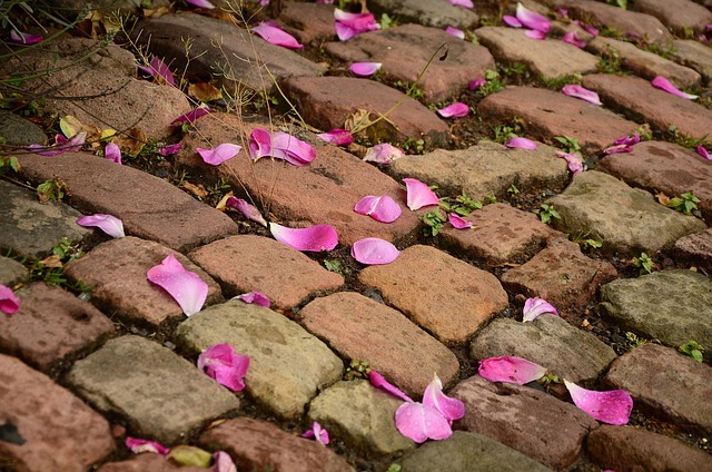 landscape paving
