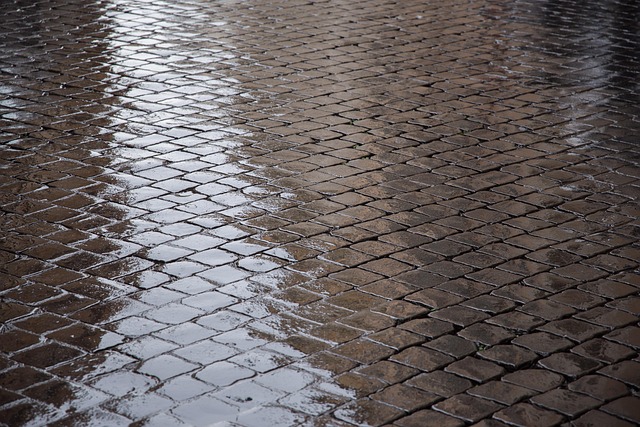 local asphalt paving