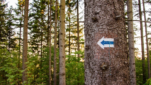 local directory optimization