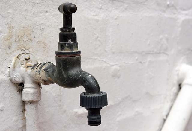marlborough plumber