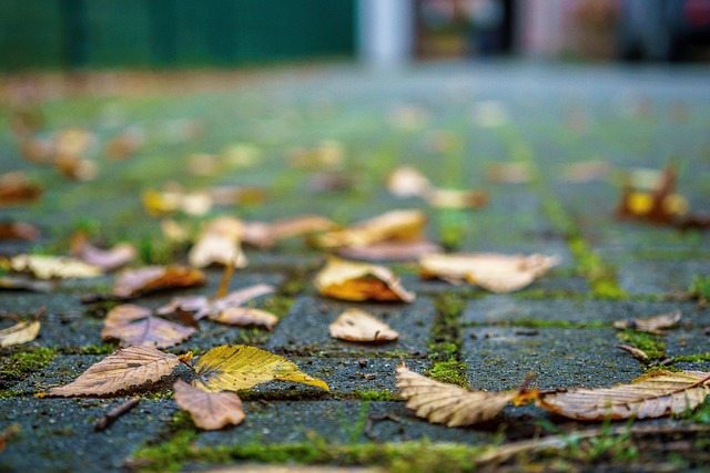 natural stone paving