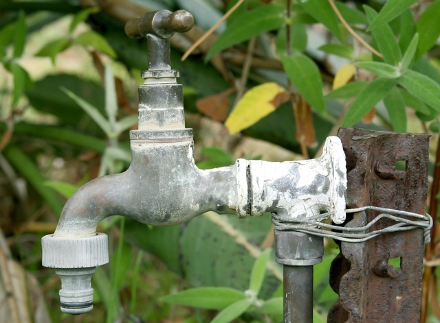 plumber testimonials