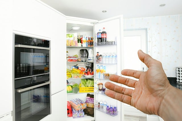 refrigerator water line