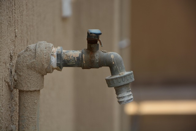 screened plumbers