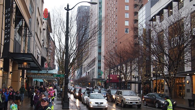 seattle plumbing