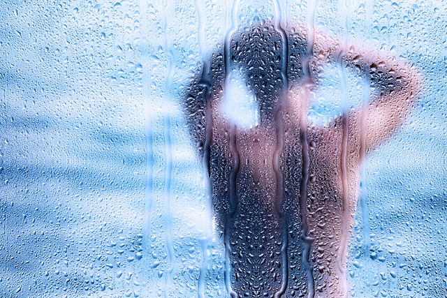shower cartridge replacement