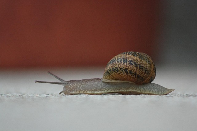 slow drain