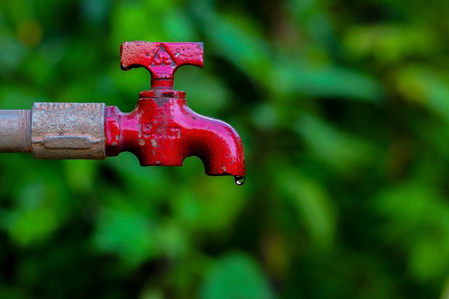 sustainable plumbing