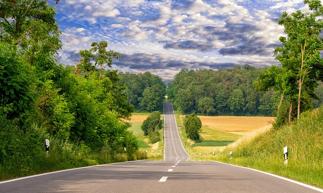 asphalt paving contractors