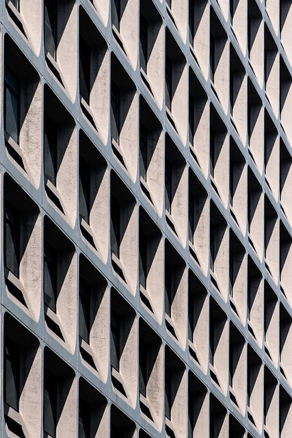 citation building services