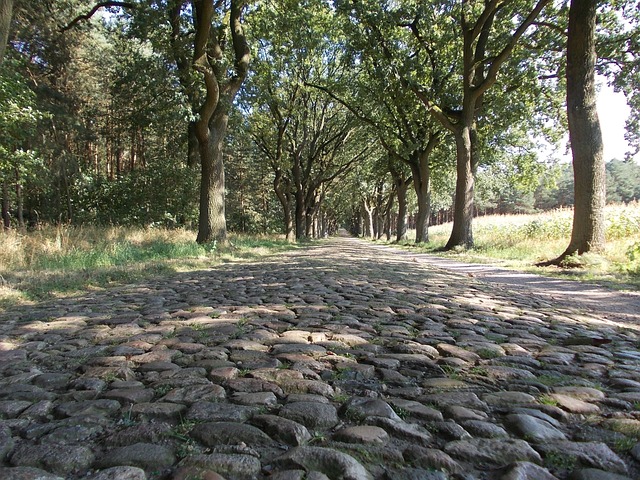 cobblestone paving