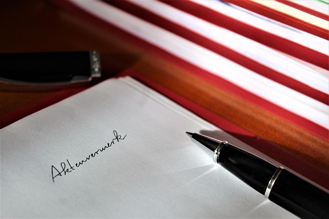 custody attorney services