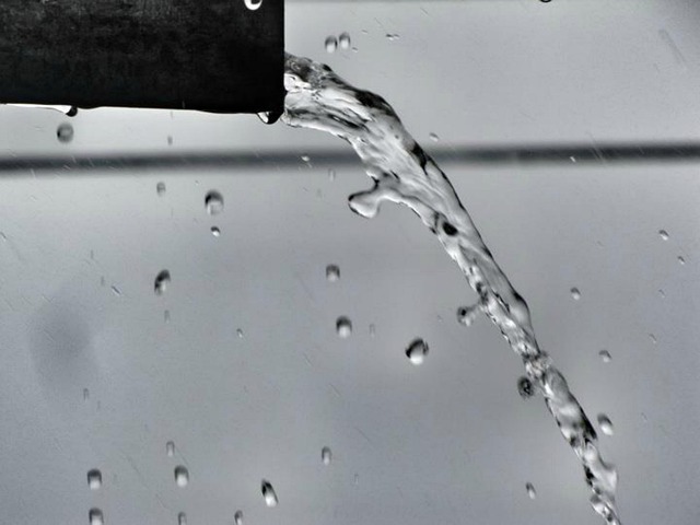 drain disinfection