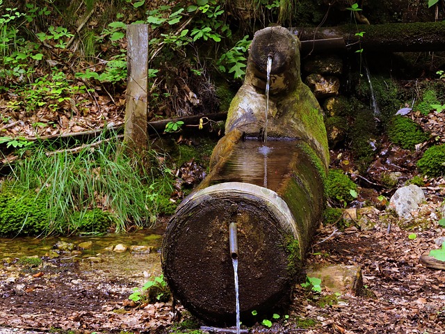 drinking water system