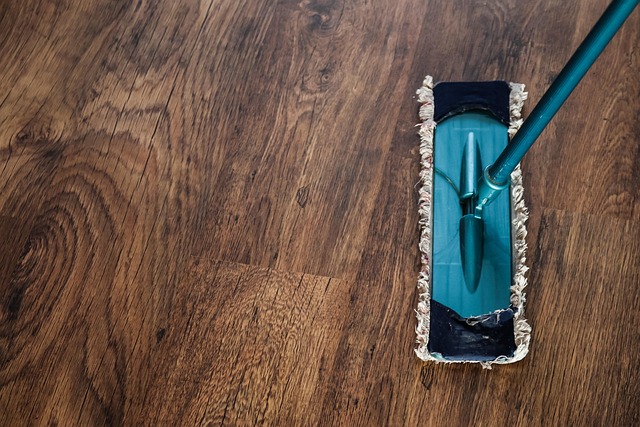 kitchen drain cleaning