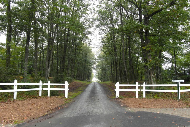 local driveway contractors
