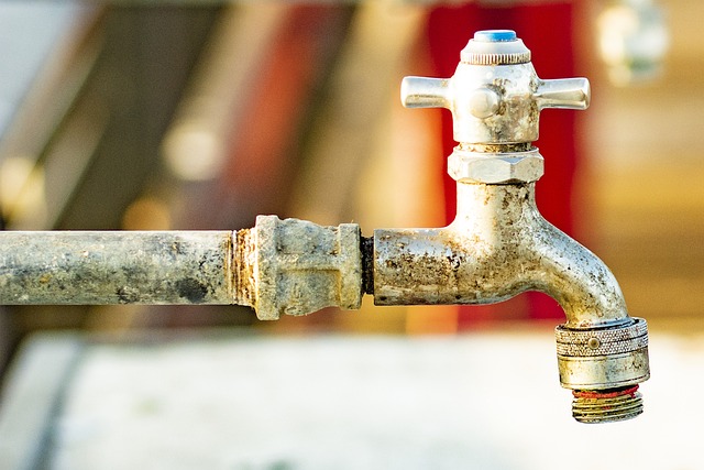 professional plumbing
