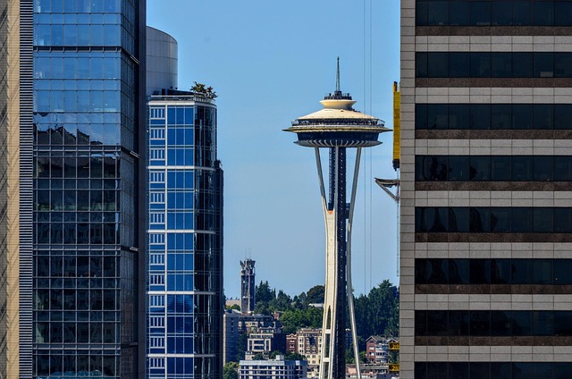 seattle pipe repair