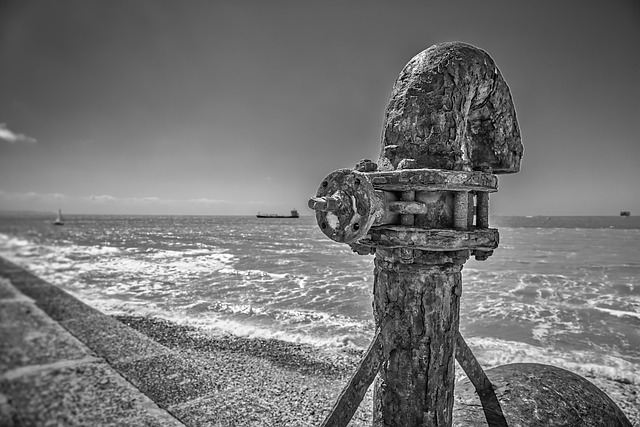 shadyside plumbing