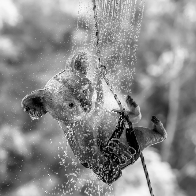 shower enclosure