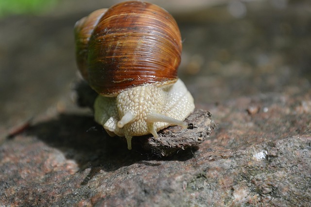 slow drain