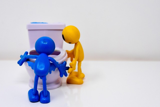 toilet troubleshooting