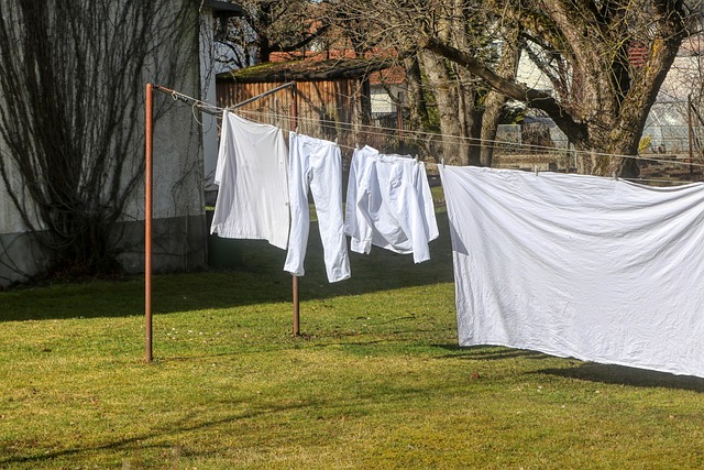 washing machine line