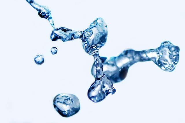 water descaler