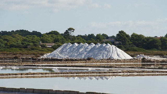 water softener salt