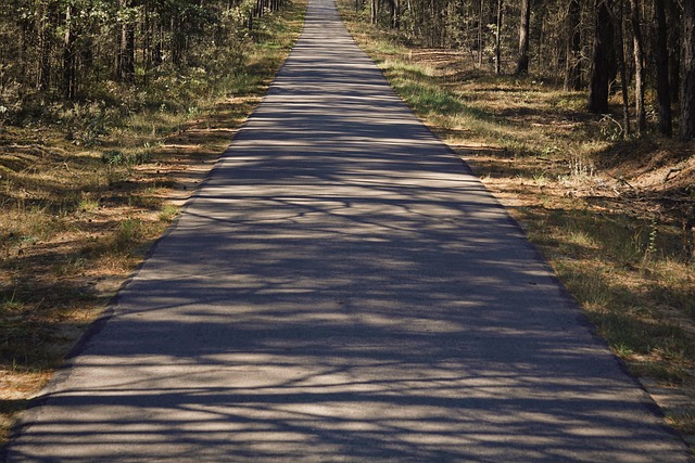 asphalt contractors