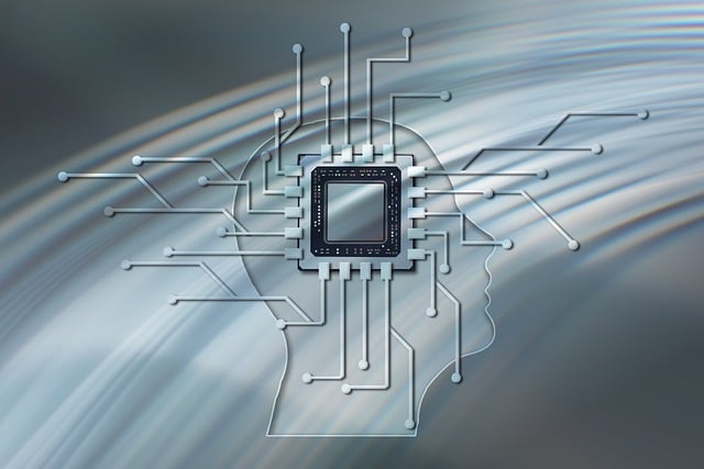chip seal contractors