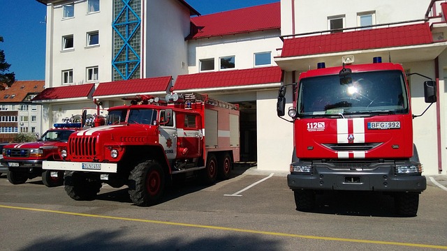 citation building services