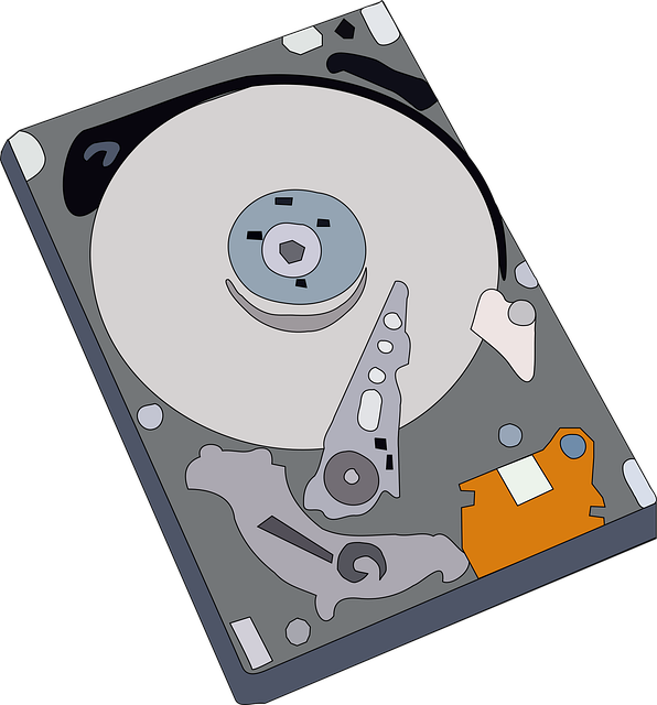 drain backup