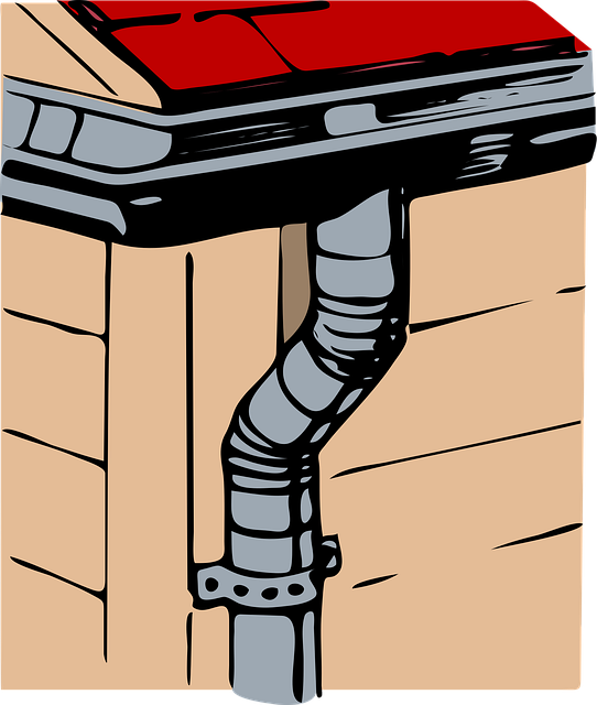 drain backup