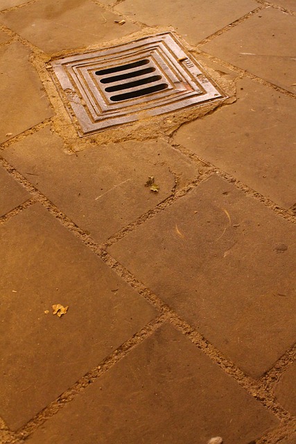 drain odor removal