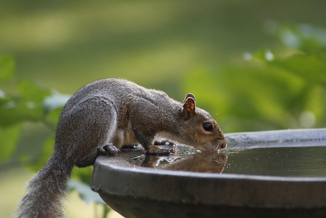 drinking water system