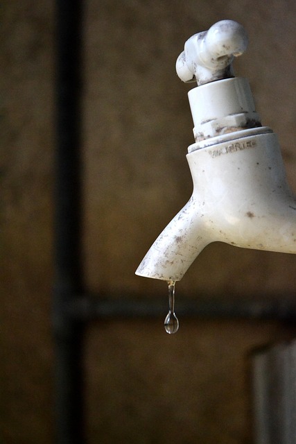 dripping faucet fix