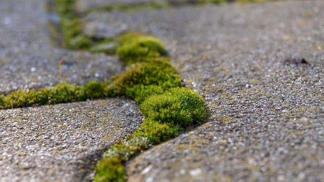 driveway paving contractors