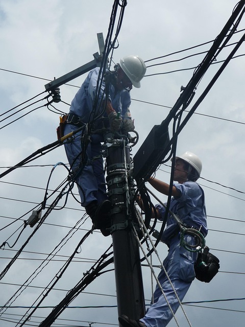 electrician web design
