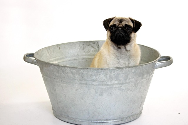 freestanding tub