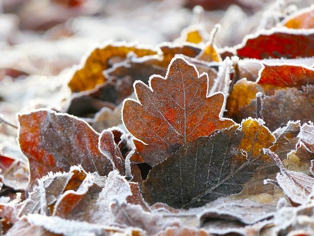 frozen pipe thawing