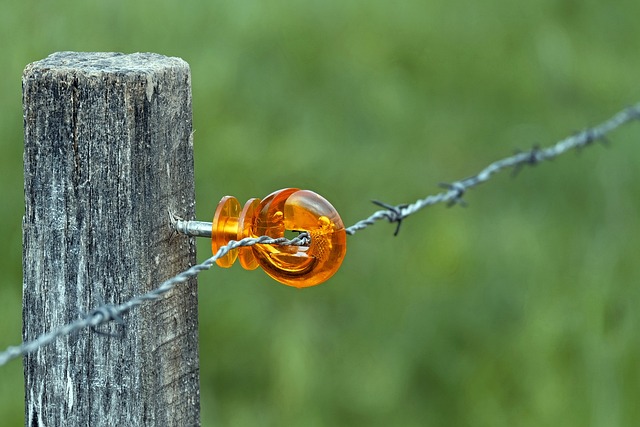 gas shut off valve